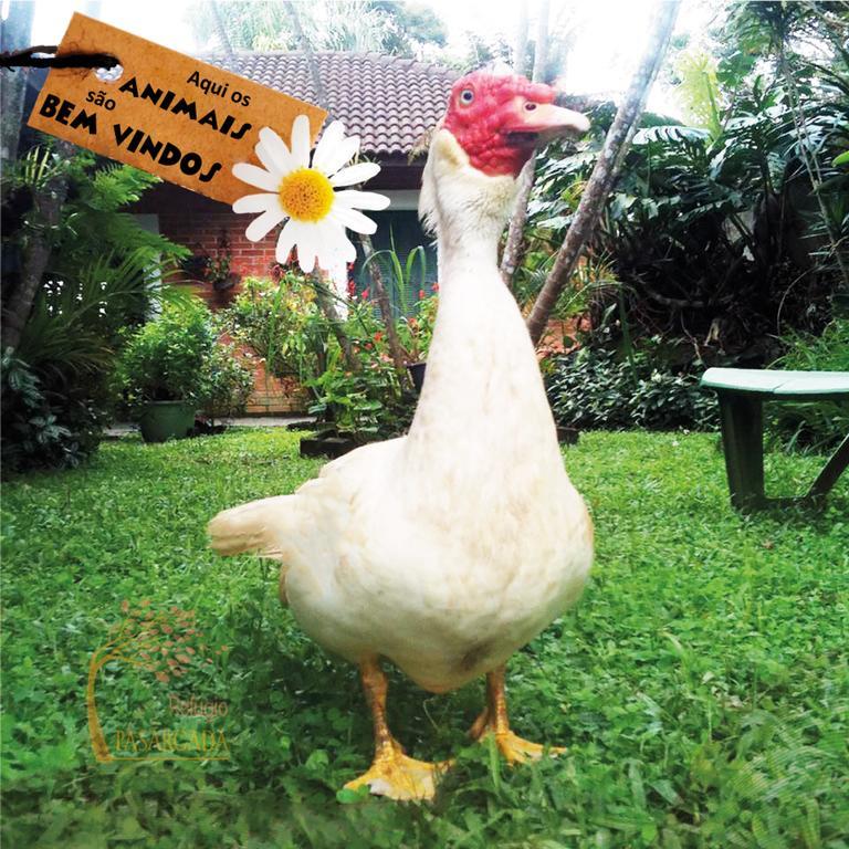 Refugio Pasargada Guest House Mairiporã Dış mekan fotoğraf